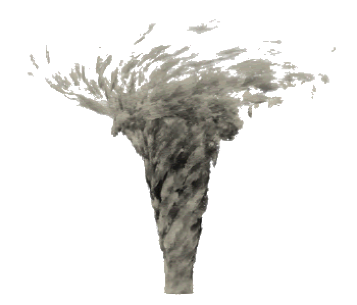 tornado animated gif ile ilgili görsel sonucu